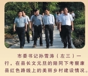 市委书记孙雪涛考察康县红军路上新农村建设情况