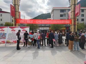 【网络中国节•端午】康县陇南根据地纪念馆开展“艾在端午 薪火传承”端午..